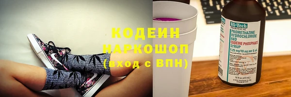 гидра Покачи