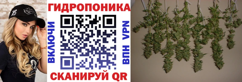 Конопля VHQ  blacksprut сайт  Абинск  купить наркотик 